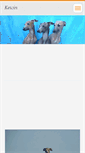Mobile Screenshot of kewin.webnode.cz
