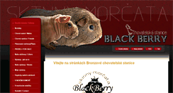 Desktop Screenshot of chsblackberry.webnode.cz