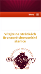Mobile Screenshot of chsblackberry.webnode.cz