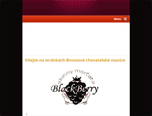 Tablet Screenshot of chsblackberry.webnode.cz