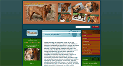 Desktop Screenshot of angelsbrno.webnode.cz