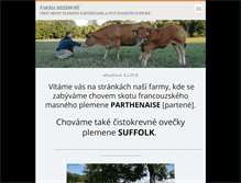 Tablet Screenshot of noveko.webnode.cz