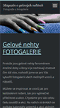 Mobile Screenshot of gelove-nehty-fotogalerie.webnode.cz