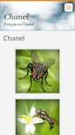 Mobile Screenshot of chanel885.webnode.es