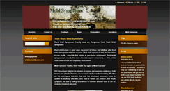 Desktop Screenshot of moldsymptoms.webnode.com