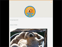 Tablet Screenshot of canilmoradasdogolden.webnode.com.br