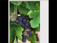 Tablet Screenshot of corkitwinetours.webnode.com