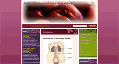 Desktop Screenshot of kidney-struc-and-function.webnode.com