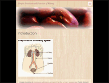 Tablet Screenshot of kidney-struc-and-function.webnode.com