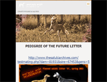 Tablet Screenshot of delenimentum.webnode.sk