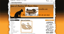 Desktop Screenshot of gatosdeprateleira.webnode.pt