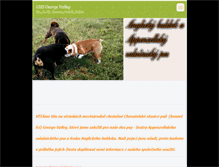 Tablet Screenshot of camarocedrik.webnode.com