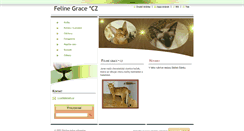 Desktop Screenshot of felinegrace.webnode.cz