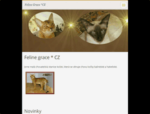 Tablet Screenshot of felinegrace.webnode.cz