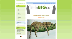 Desktop Screenshot of littlebigcat-aj.webnode.cz