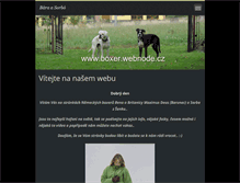 Tablet Screenshot of boxer.webnode.cz