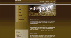 Desktop Screenshot of prase.webnode.cz