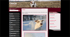 Desktop Screenshot of chuck-jrt.webnode.cz