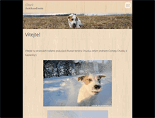 Tablet Screenshot of chuck-jrt.webnode.cz