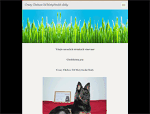 Tablet Screenshot of crazy-chelsea.webnode.cz