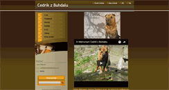Desktop Screenshot of cedrikzbuhdalu.webnode.cz