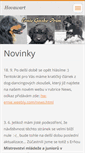 Mobile Screenshot of hw-ernie.webnode.cz
