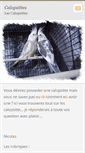 Mobile Screenshot of calopsittes.webnode.com