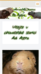 Mobile Screenshot of chsadastra.webnode.cz