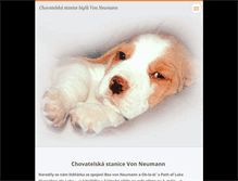 Tablet Screenshot of beaglestenata.webnode.cz