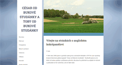 Desktop Screenshot of cesarbukovastudanka.webnode.cz