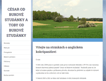 Tablet Screenshot of cesarbukovastudanka.webnode.cz