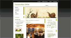 Desktop Screenshot of caracoleschile.webnode.es