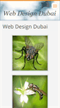 Mobile Screenshot of dubaiwebdesign7.webnode.com