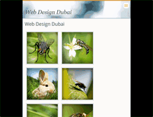 Tablet Screenshot of dubaiwebdesign7.webnode.com