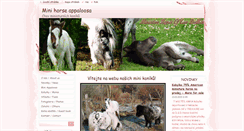 Desktop Screenshot of miniappaloosa.webnode.cz
