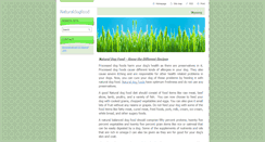 Desktop Screenshot of naturaldogfood.webnode.com
