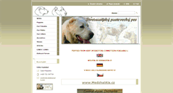 Desktop Screenshot of alabai.webnode.cz