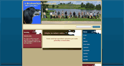 Desktop Screenshot of brzanky.webnode.cz