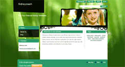 Desktop Screenshot of kidneycoach.webnode.com