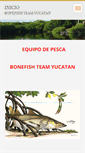 Mobile Screenshot of capturaylibera.webnode.mx