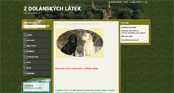 Desktop Screenshot of labrador-cz.webnode.cz