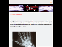 Tablet Screenshot of bonefracturerepair.webnode.com
