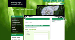 Desktop Screenshot of kineziologie-one-brain.webnode.cz