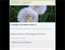 Tablet Screenshot of kineziologie-one-brain.webnode.cz