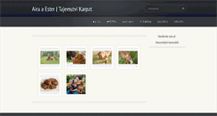 Desktop Screenshot of aira-vizsla.webnode.cz