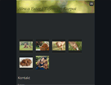 Tablet Screenshot of aira-vizsla.webnode.cz